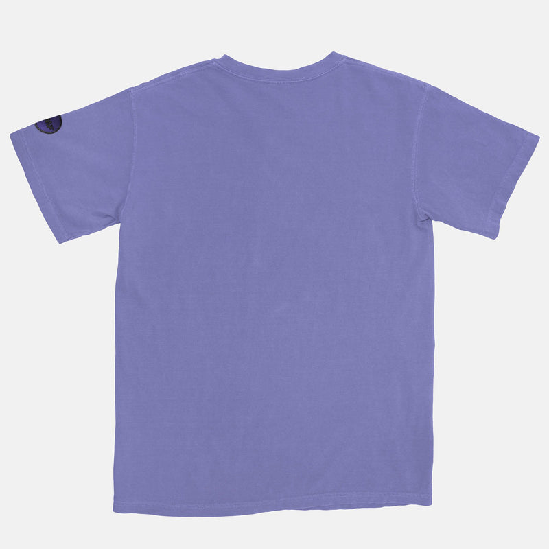 Jordan 13 Purple BMF Bunny Arc Pigment Dyed Vintage Wash Heavyweight T-Shirt