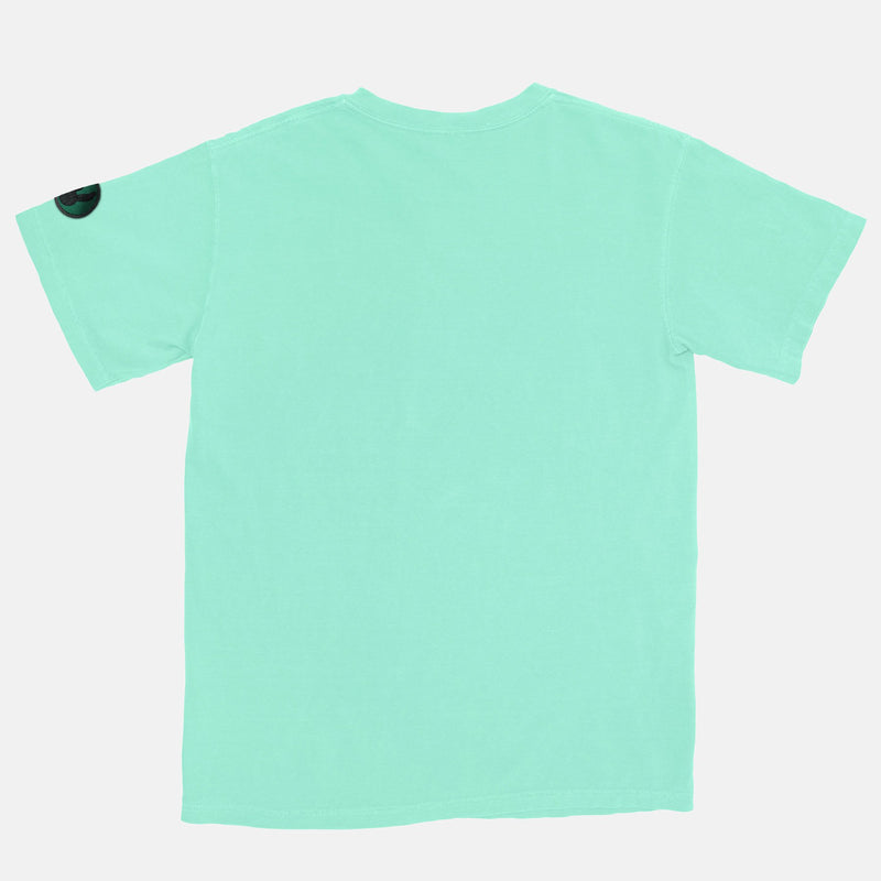 Jordan 1 Pine green BMF Bunny Vintage Wash Heavyweight T-Shirt