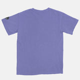 Jordan 3 Varsity Royal BMF Bunny Arc Pigment Dyed Vintage Wash Heavyweight T-Shirt