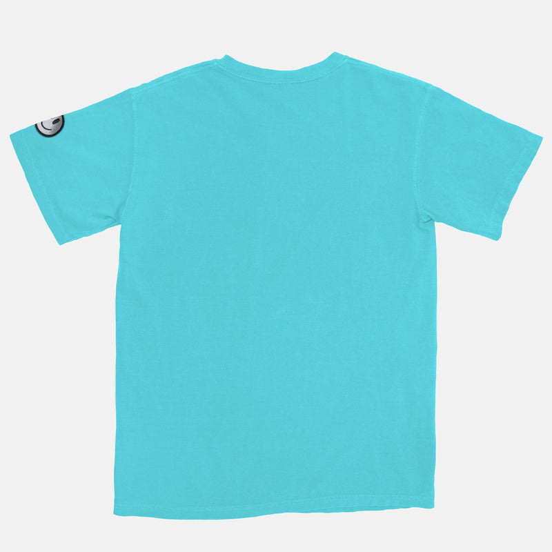 Jordan 3 Chlorophyll Smiley Vintage Wash Heavyweight T-Shirt